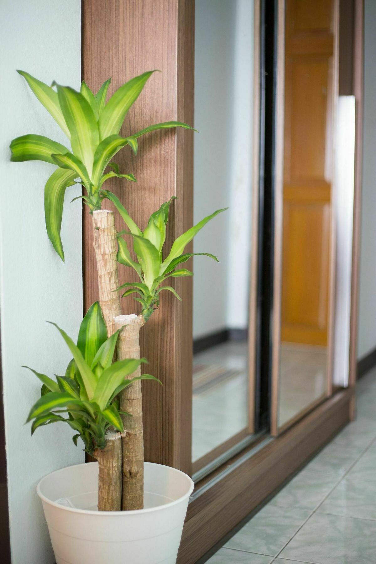Ratchaprarop Apartment 방콕 외부 사진